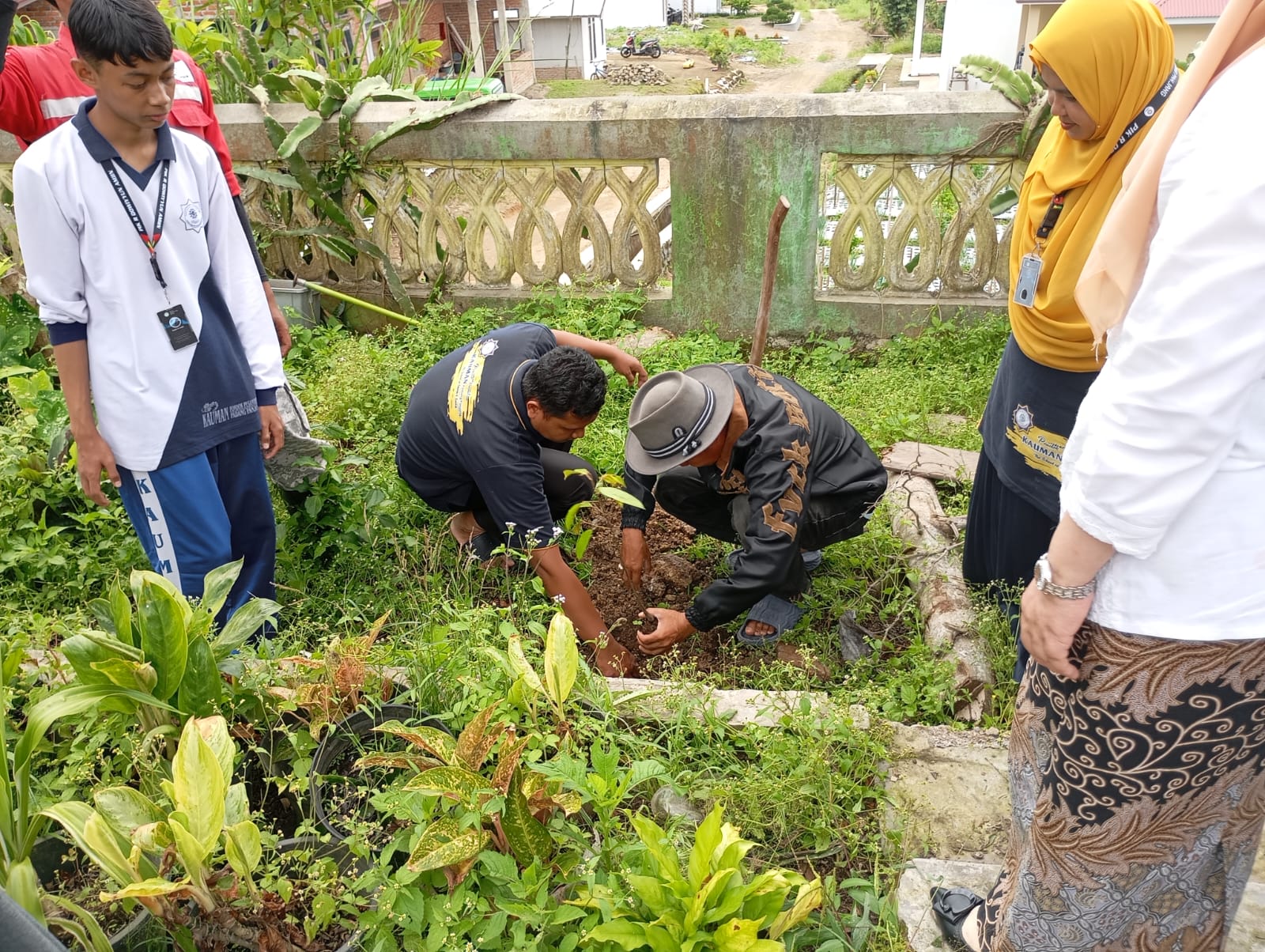 Kegiatan Penanaman Pohon oleh PIK-R Qowwiyun Amin Pondok Pesantren Kauman Muhammadiyah Padang Panjang di Jorong Pagu-Pagu
